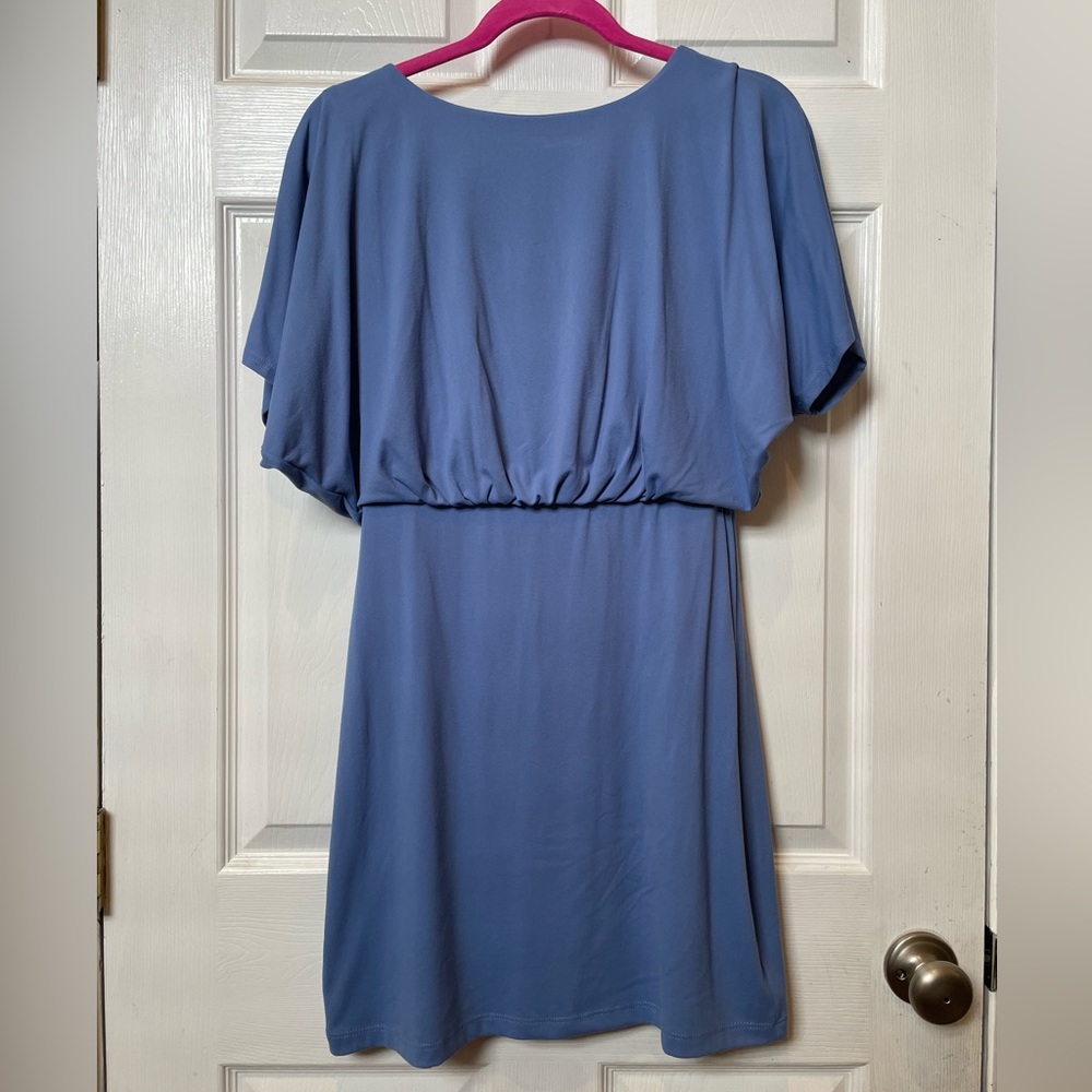Susana Monaco Sky Blue Fitted Dress Low Back